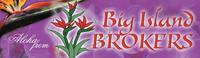 Big Island Brokers Logo