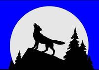 Wolf NW Properties, Inc. Logo